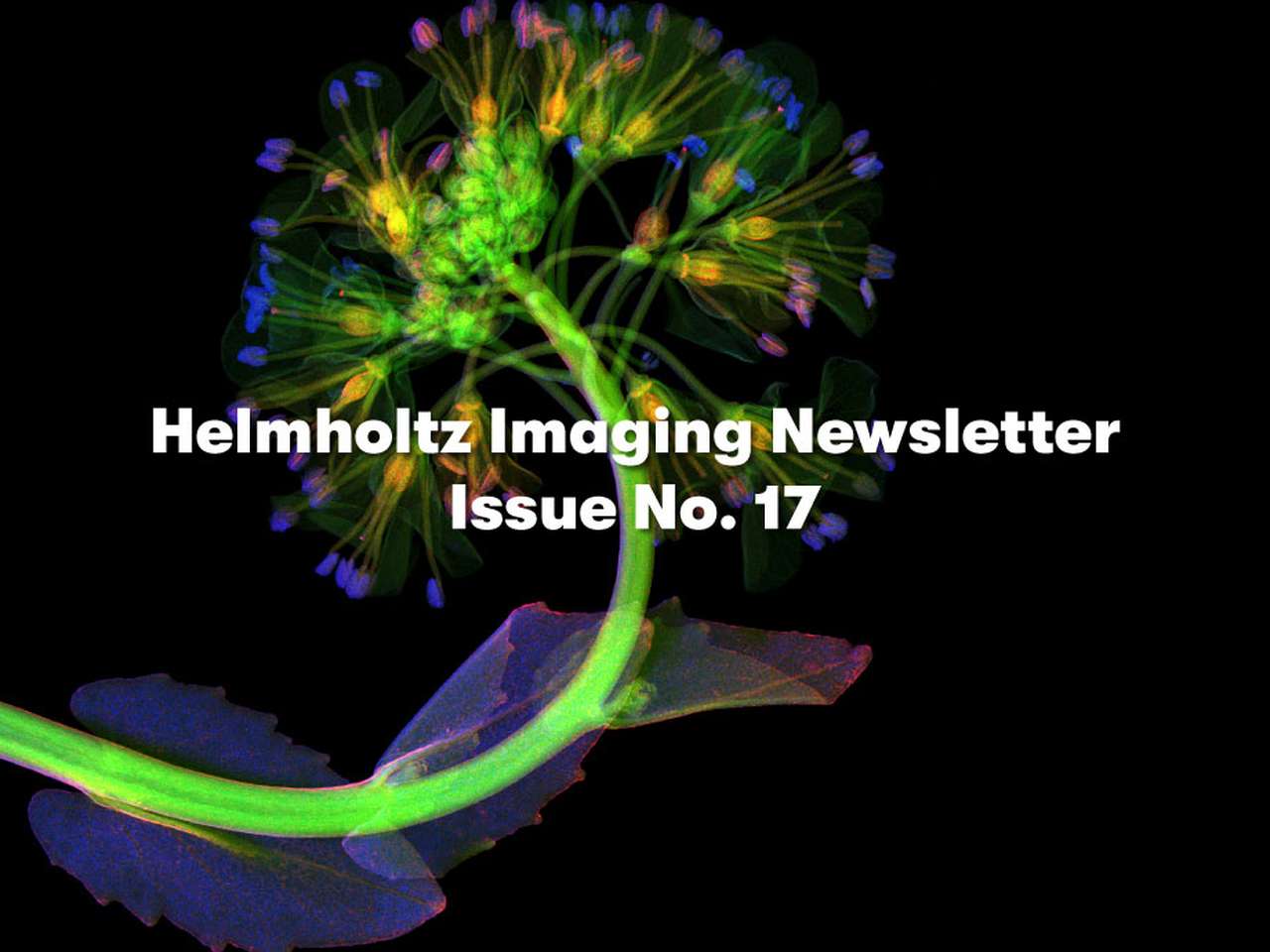 New HI Newsletter: Explore the most recent developments in the field of imaging Image