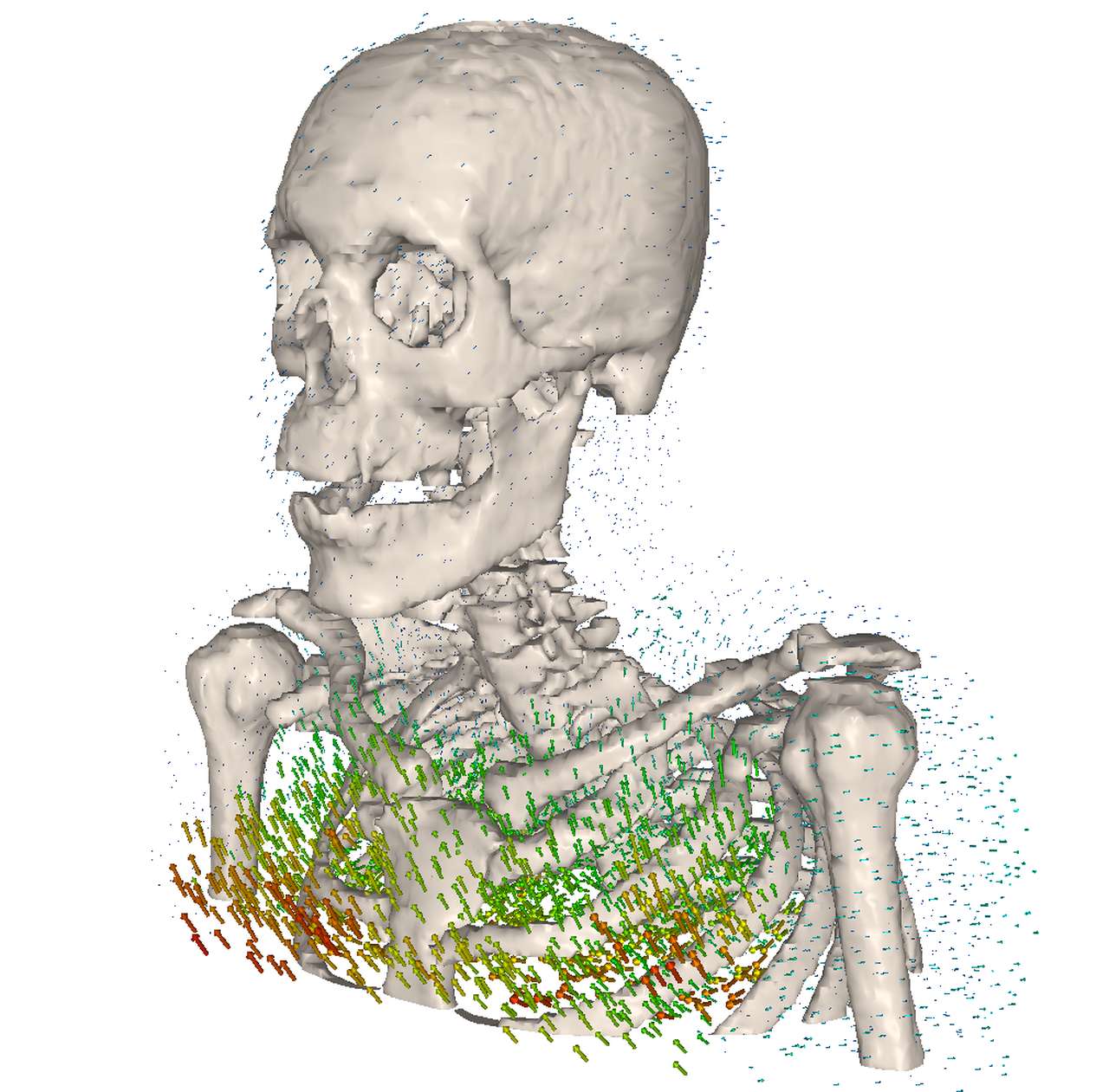 Evaluating Motion and Registration in Adaptive Radiotherapy Image
