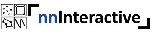nnInteractive Image