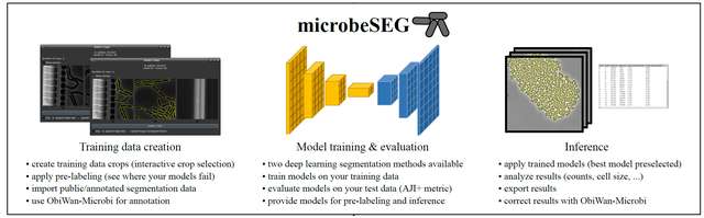 microbeSEG: A deep learning software tool with OMERO data management for efficient and accurate cell segmentation Image